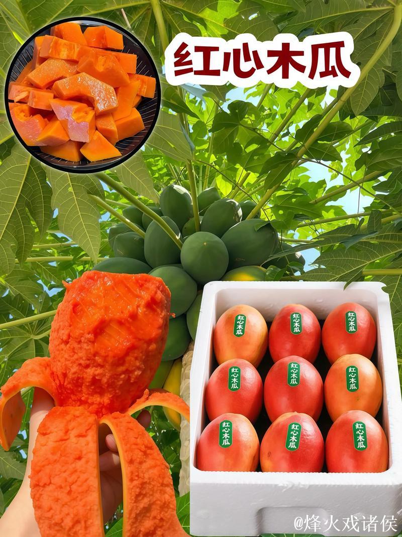 揭秘抖音网红瓜：背后的惊人福利真相